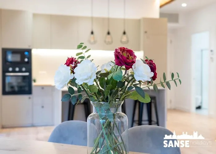 Bost By Sanse Holidays San Sebastian